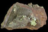 Gemmy, Yellow-Green Adamite Crystals - Durango, Mexico #88880-1